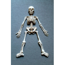 Silikoninė forma -  Skeletas Nr. 366