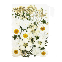 Džiovintų gėlių rinkinys - "Balta"