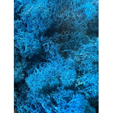 Dekoratyvinės samanos - Mėlyna 50g/100g