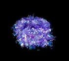 Blizgučiai - Violetinė 10g/20g pigiau