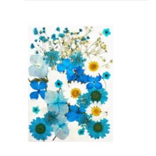 Džiovintų gėlių rinkinys - "Mėlyna"