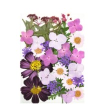 Džiovintų gėlių rinkinys - "Violetinė"
