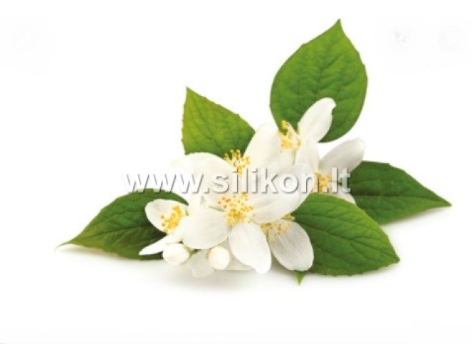 Kvapusis aliejus "Jazminai 12-50 ml