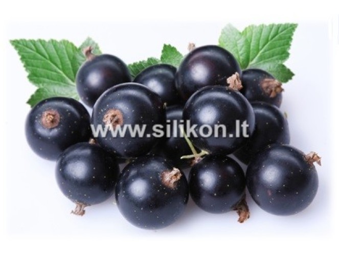 Kvapusis aliejus "Juodieji serbentai" 12/50 ml