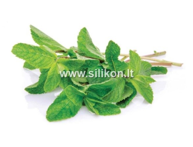 Kvapusis aliejus "Mėtos" 12 ml