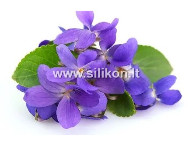 Kvapusis aliejus "Violetinė" 12/50ml