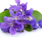 Kvapusis aliejus "Violetinė" 12/50ml