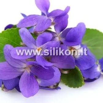 Kvapusis aliejus "Violetinė" 12/50ml