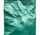 Pigmentas - Žalia koralinė blizgi 20-50g