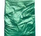Pigmentas - Žalia nefrito blizgi 20-50g