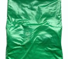 Pigmentas - Žalia pušies blizgi 20-50g